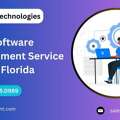 Trusted Software Development Service In Florida | Webzent