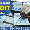 Are You Want Audit Service !