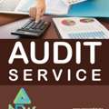 Audit Strategy Planning Tax Finance