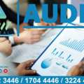 AUDIT