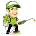 Reliable Termite Treatment Services Ipswich