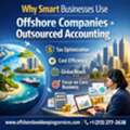 Why Smart Businesses Use Offshore Companies + Outsourced Accounting