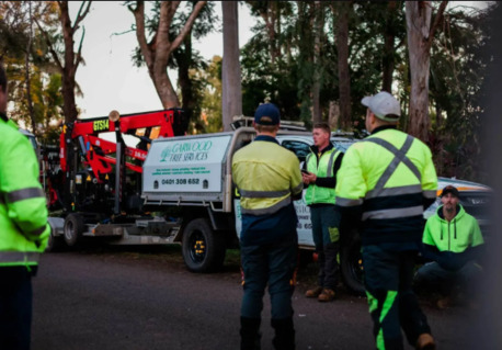 Sydney, Business, GTS Trees