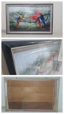 Jeddah, Household Items, SAR 100,  Beautiful Parrots Photo Frame At Throw Away Price