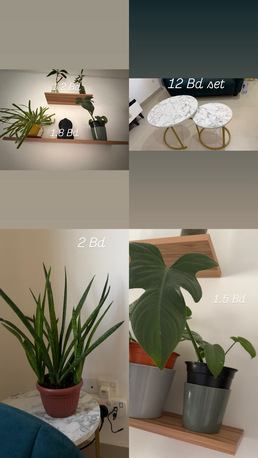 Gudaibiya, Household Items, BHD 30,  Household Items