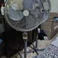 SAR 1250,  Steel Pedestal Fans (2 No.s)