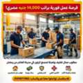 براتب 14000 مطلوب عمال تعبئة وتغليف لمصنع كرتو
