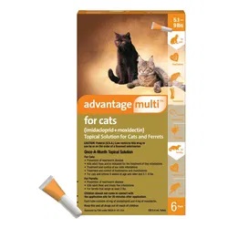 New York, Pet Supplies, USD 34,  Shop Advantage Multi For Cats Online At 20% OFF Only @BestVetCare