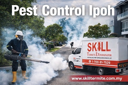 Kuala Lumpur, Pest Control, Trusted Pest Control Ipoh Experts For Safe And Effective Solutions