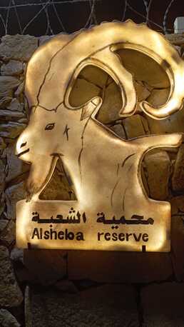 Riyadh, Pick Up & Drop Off, PICK AND DROP -airport , School,company Staff