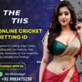 Instant Cricket Betting ID | THE TIIS
