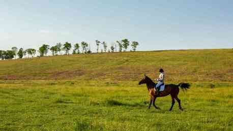 New York, Real Estate, Enjoy Horseback Riding In Manzanita Near Coastal Vacation Rentals