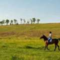 Enjoy Horseback Riding In Manzanita Near Coastal Vacation Rentals