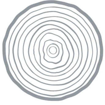 New York, Construction, Creative Floors