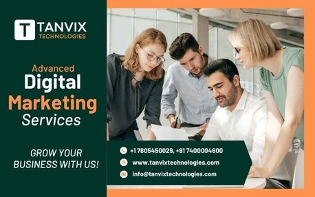 Edmonton, Lessons Offered, Fast, Secure, And Optimized WordPress Websites For Businesses