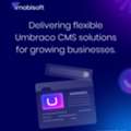 Drive Growth With Flexible CMS Technology