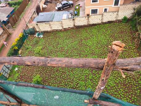 Nairobi, Residential Plots, KES 9000000,  5000 Sq. Feet,  Land For Sale In Uthiru