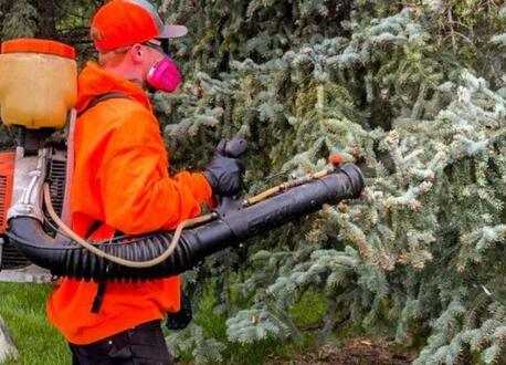 Toronto, Pest Control, Fast Pest Removal In Saskatoon &ndash; Affordable Services