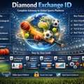 Diamond Exchange ID: Complete Gateway To Global Sports Platform