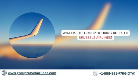New York, Travel, What Is The Group Booking Rules Of Brussels Airlines?