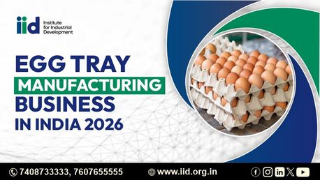 Lucknow, Business, Low Investment Egg Tray Business | Manufacturing Process & Cost