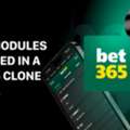 Advanced Bet365 Clone Script With Live Betting & Multi-Sport Coverage