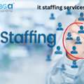 It Staffing Services India