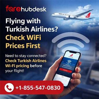 New York, Travel, Flying With Turkish Airlines? Check WiFi Prices First