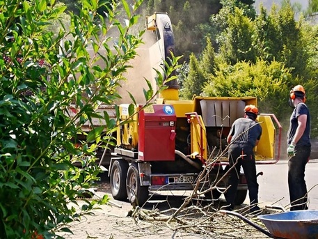 New York, Cleaning, Light Year Junk Removal
