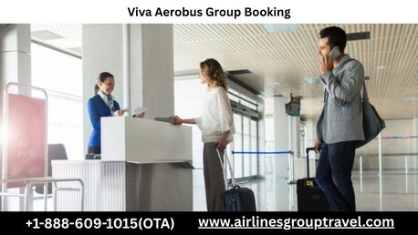 New York, Travel, How To Book Group Flights With Viva Aerobus?