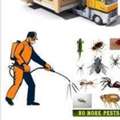 @9PEST CONTROL&hearts;️SPRAYS&hearts;️And BED BUGS&hearts;️Solution With Guaranteed&hearts;️053-4107-809