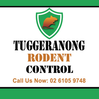 Sydney, Pest Control, Tuggeranong Rodent Control