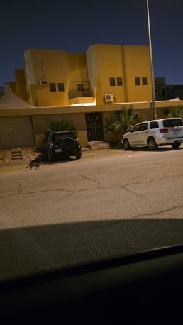 Riyadh, Apartments/Houses, SAR 2600/month,  Studio,  40 Sq. Meter,  Luxury Furnished Studio For Rent