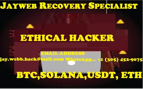 Buona Vista, Financial, Recover Your Lost Crypto