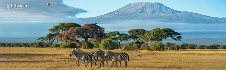 Dubai, Travel, Explore Kenya With Kenya Tour Package