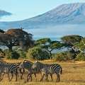 Explore Kenya With Kenya Tour Package