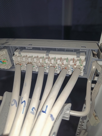 Riyadh, Job Seekers, EVL- CCT ,DATA Termination,UTP Cable