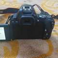 SAR 2599,  Canon EOS 250D + Canon EF-s 18-55mm F/4-5.6 Is STM Lens - Black+Camera Bag+128GB SDXC