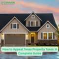 How To Appeal Texas Property Taxes: A Complete Guide