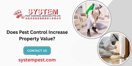 Singapore, Business, Does Pest Control Increase Property Value?