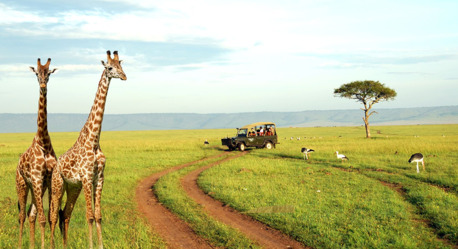 Nairobi, Travel, Affordable Kenya Safari Packages | Budget Wildlife Tours