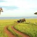 Affordable Kenya Safari Packages | Budget Wildlife Tours