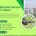 Top Bird Net Service In Jaipur For Homes