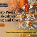 Kalsarp Pooja Trimbakeshwar Booking And Cost