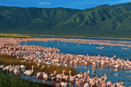 Nairobi, Travel, Masai Mara Luxury Safari Tours | Exclusive Wildlife Experiences