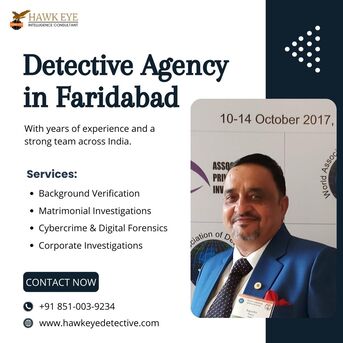 Faridabad, Legal, Private Detective Agency In Faridabad