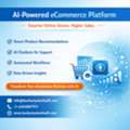 Custom AI Powered Ecommerce Solutions