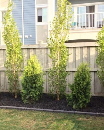 Calgary, Business, Custom Built Deck And Fence