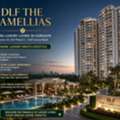 DLF The Camellias Gurgaon | Ultra Luxury Apartments In Sector 42