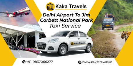 New Delhi, Travel, Delhi Airport To Jim Corbett National Park Taxi Service